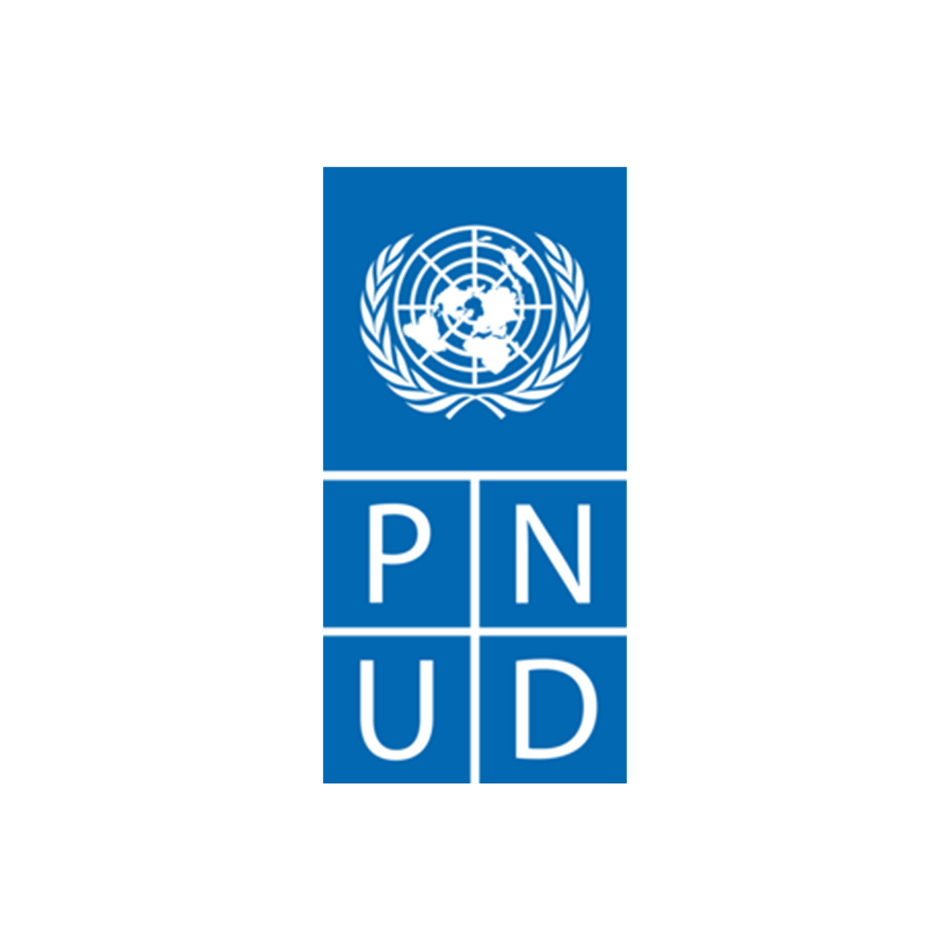 logo pnud-1