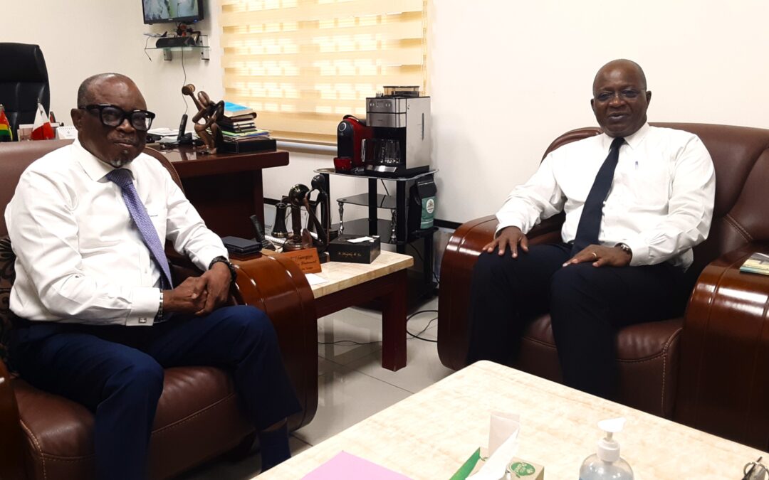 Le Représentant Résident de la BAD reçu en audience par le Président du CNP–Togo