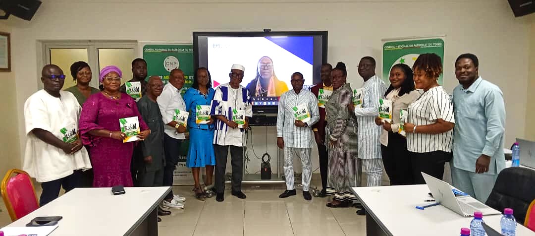 Le CNP-Togo forme un premier noyau de formateurs relais sur la prévention de la violence et du harcèlement au travail
